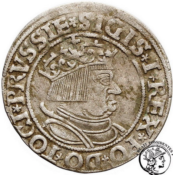 Polska Zygmunt I Stary grosz pruski 1534 st. 3