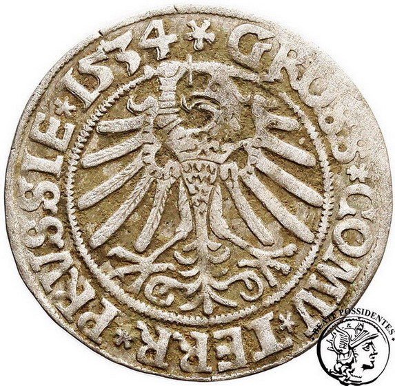 Polska Zygmunt I Stary grosz pruski 1534 st. 3