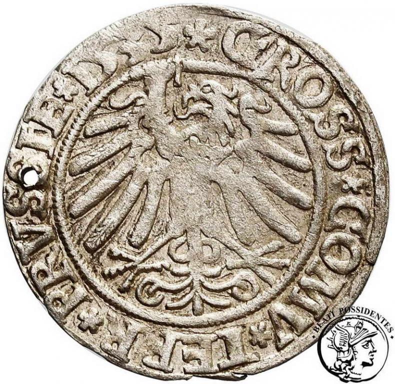 Polska Zygmunt I Stary grosz pruski 1535 st. 3-