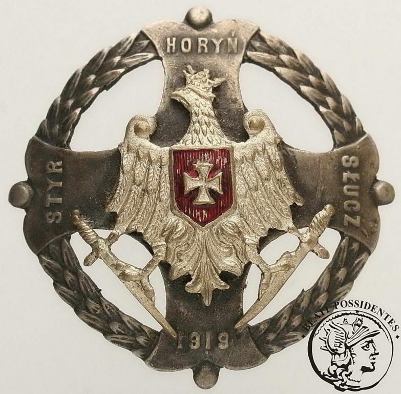 Odznaka Horyń, Styr, Słucz