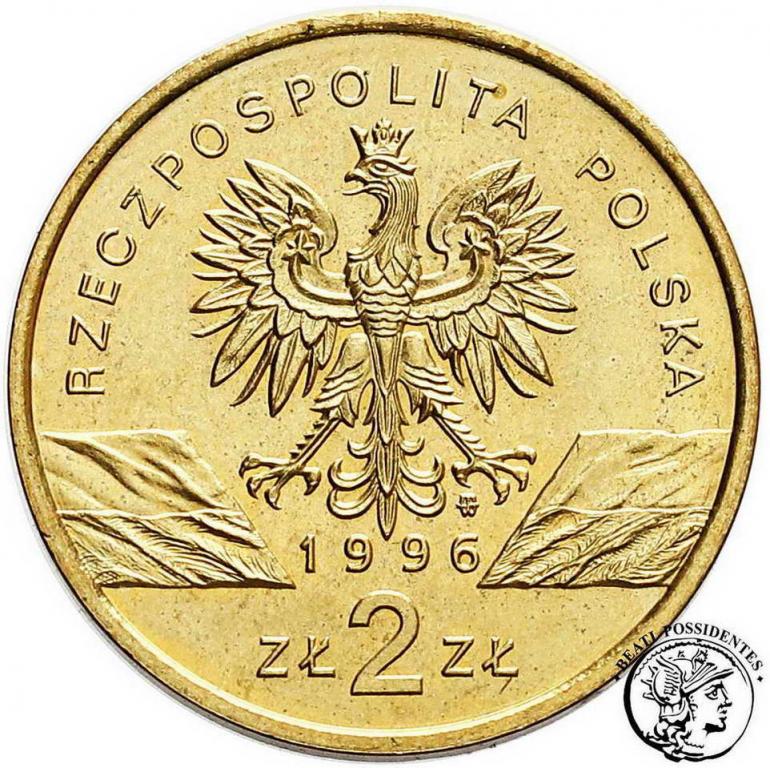 Polska 2 złote 1996 Jeż st. 1