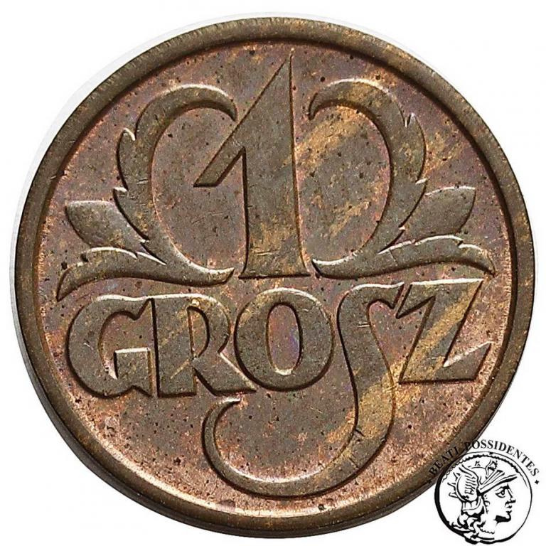 Polska II RP 1 grosz 1931 st.1/1-