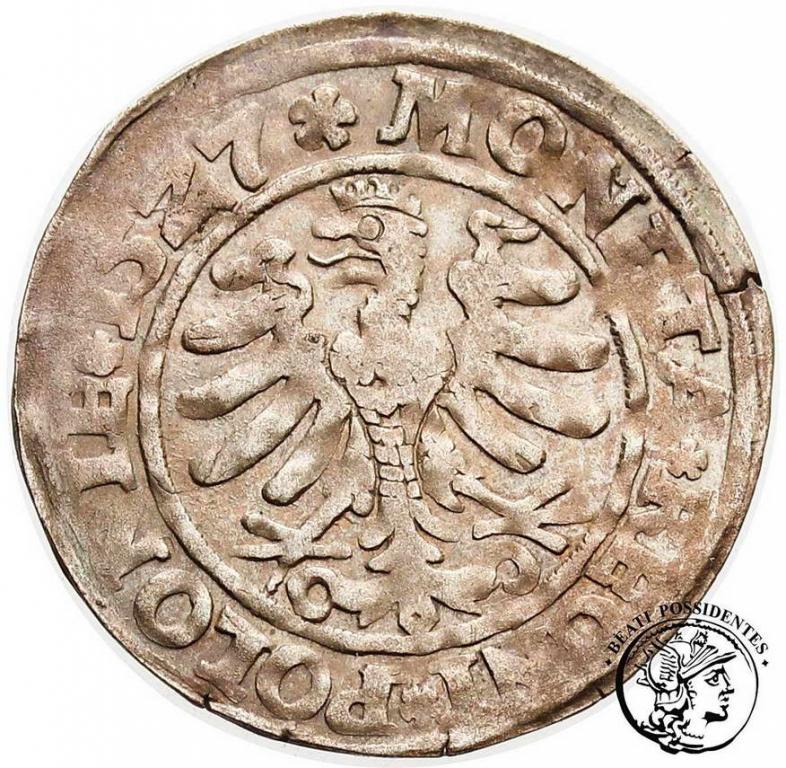 Zygmunt I Stary grosz koronny 1527 Kraków st.3+