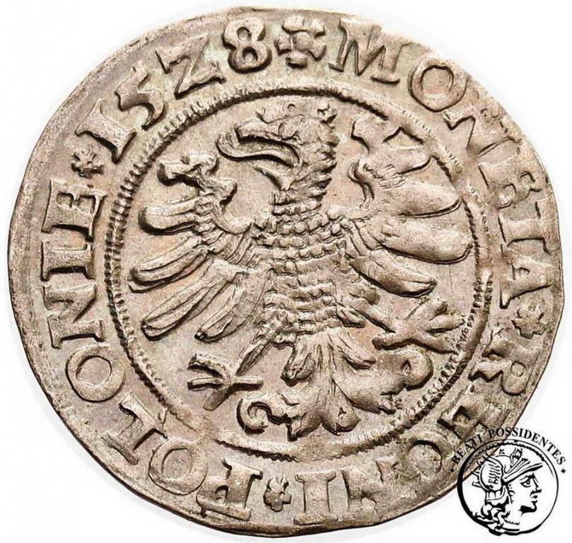 Zygmunt I Stary grosz koronny 1528 Kraków st.3+