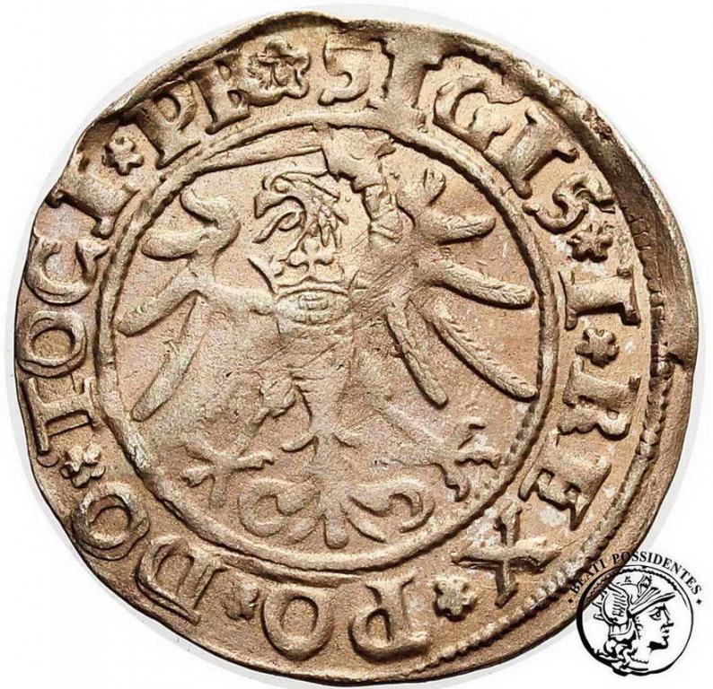 Polska Zygmunt I Stary grosz 1535 Elbląg st. 2-
