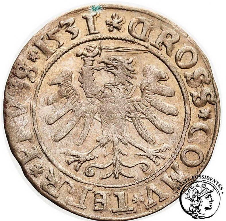 Zygmunt I Stary grosz pruski 1531 Toruń st. 3