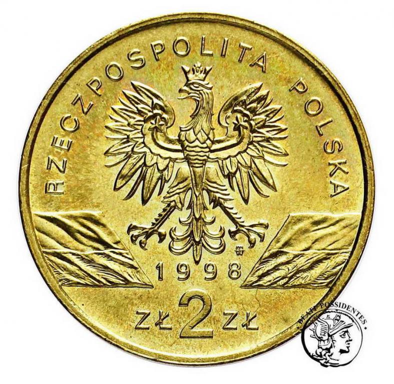 Polska III RP 2 złote 1998 Ropucha Paskówka st.1