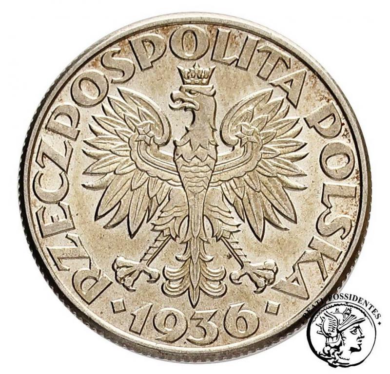 Polska II RP 2 złote 1936 żaglowiec st.1-