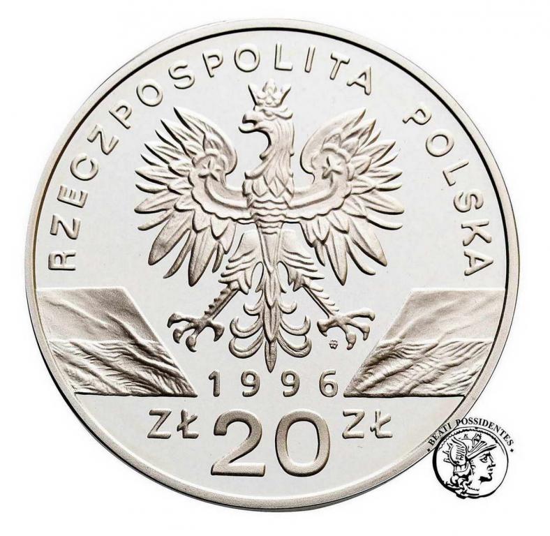 Polska 20 złotych 1996 Jeż st. L/L-