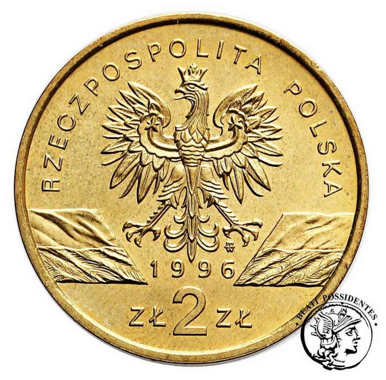 Polska 2 złote 1996 Jeż st. 1/1-