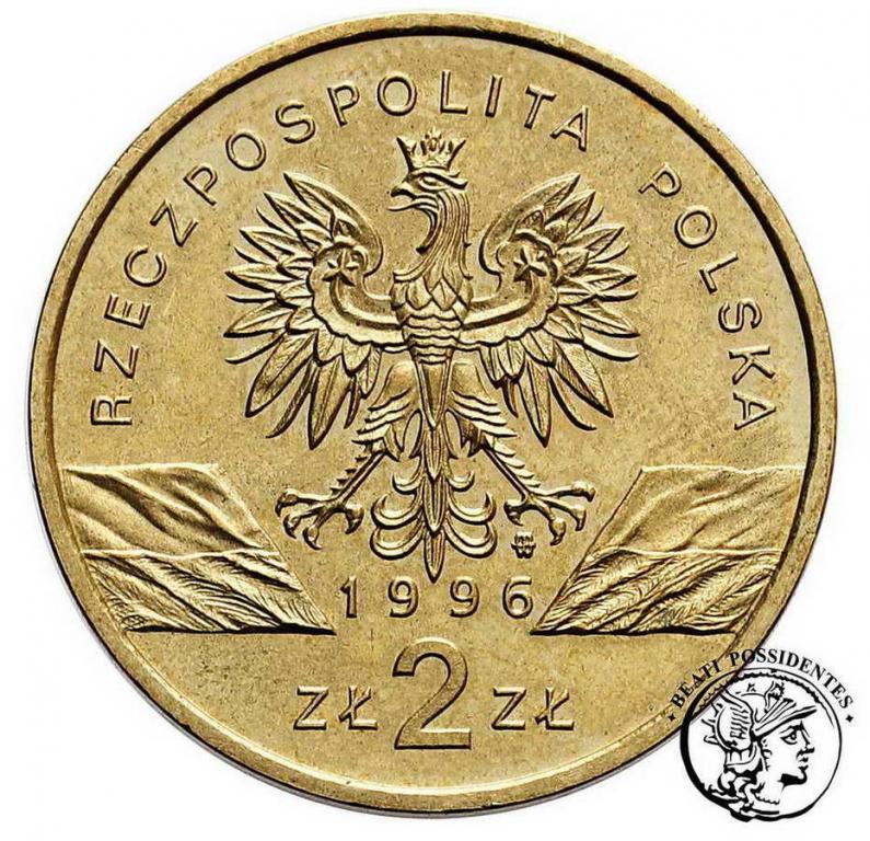 Polska 2 złote 1996 Jeż st. 1/1-