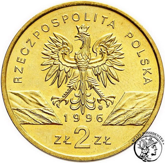 Polska 2 złote 1996 Jeż st.2+