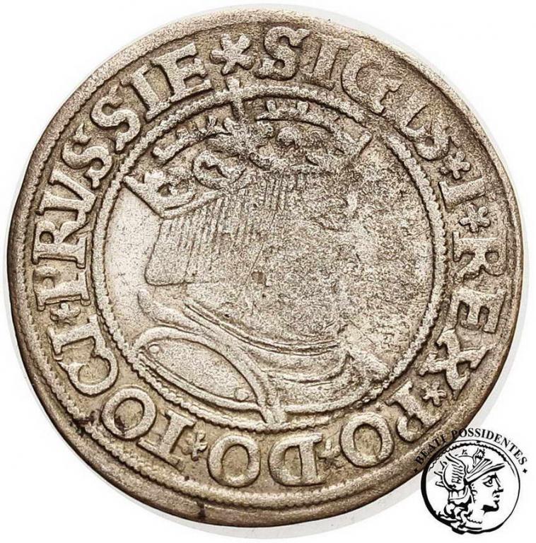 Zygmunt I Stary grosz pruski 1534 Toruń st.3-