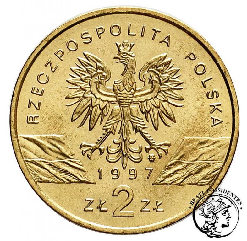 Polska III RP 2 złote 1997 jelonek rogacz st. 1