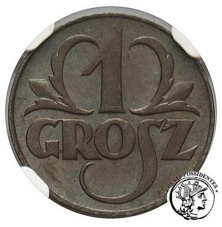 Polska II RP 1 grosz 1923 NGC MS64 BN