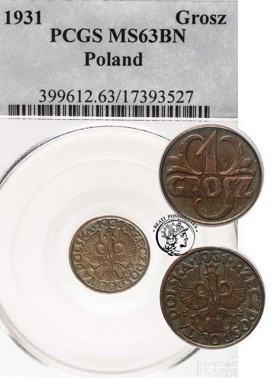 Polska II RP 1 grosz 1931 PCGS MS63 BN