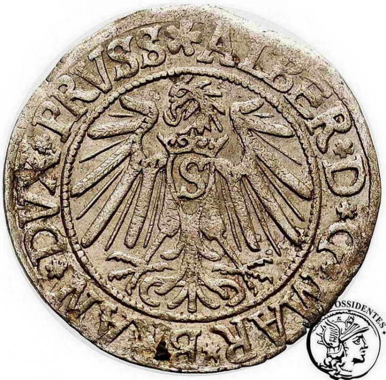 Polska Prusy Książęce Albrecht grosz 1539 st.3+