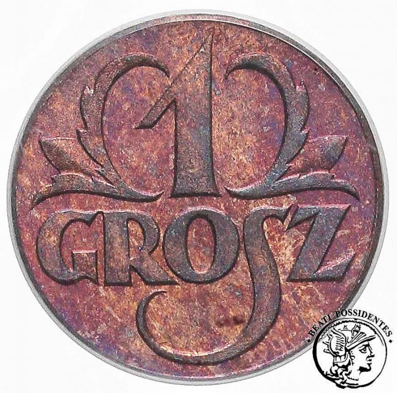 II RP PRÓBA 1 grosz 1923 (lustrz.) PCGS SP 65 RB