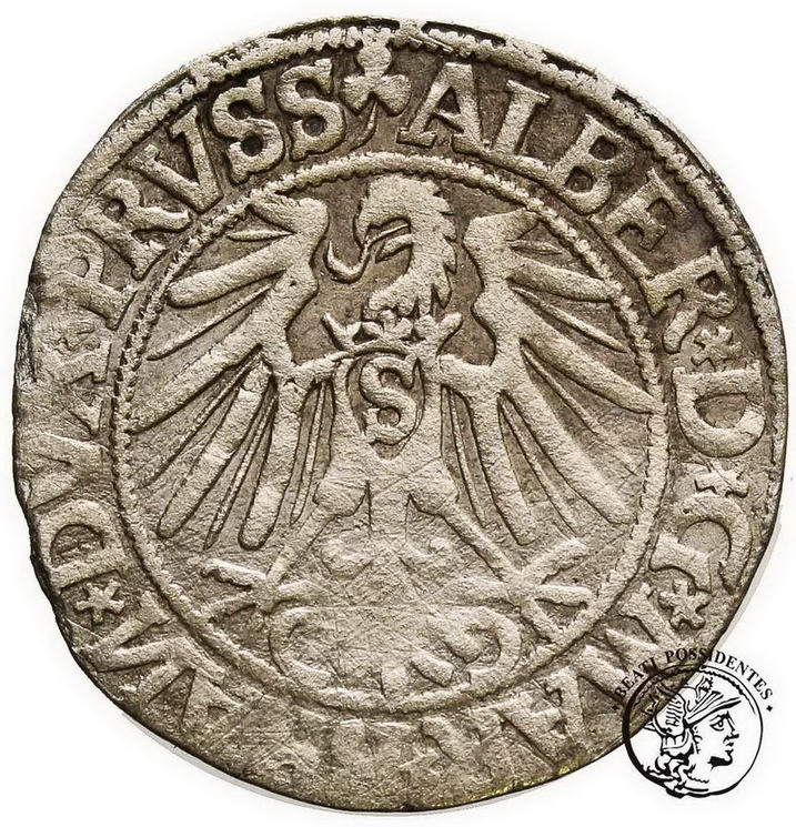 Prusy Książęce grosz pruski 1544 Królewiec st.3