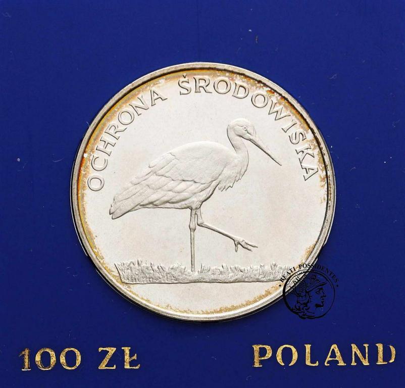 Polska PRL 100 złotych 1982 Bocian st.L