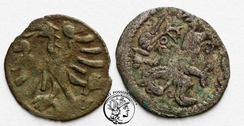 Alexander Jagiellończyk 1501-1506 denary st.3/3-