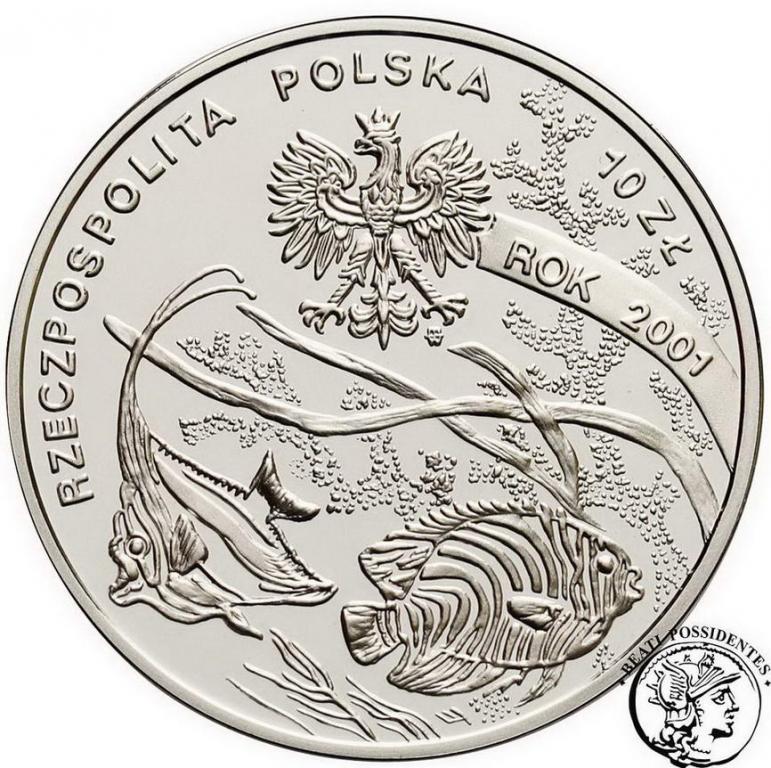 Polska III RP 10 złotych 2001 Michał Siedlecki stL