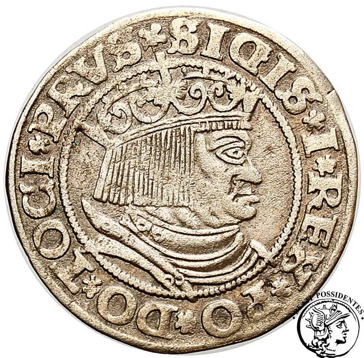 Polska Zygmunt I Stary grosz pruski 1532 Toruń st3