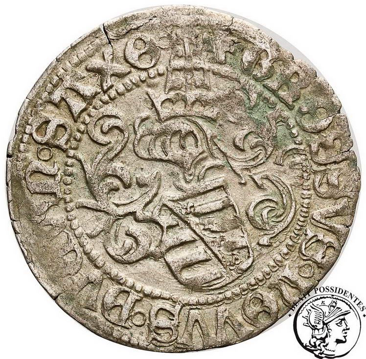 Niemcy Saksonia grosz czynszowy bd 1507-1525 st. 3