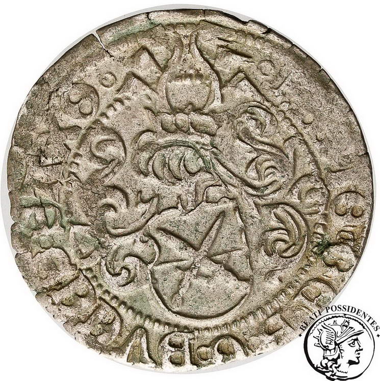 Niemcy Saksonia grosz czynszowy bd 1507-1525 st. 3