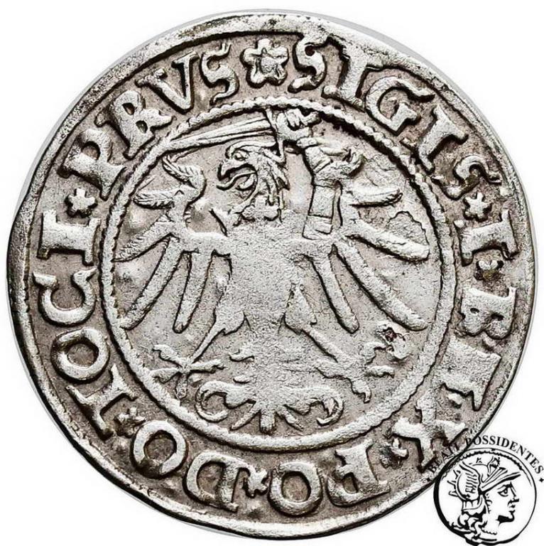 Polska Zygmunt I Stary grosz 1535 Elbląg st.3