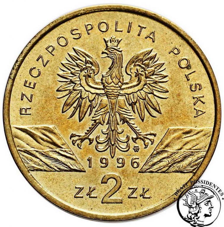 Polska III RP 2 złote 1996 jeż st.-