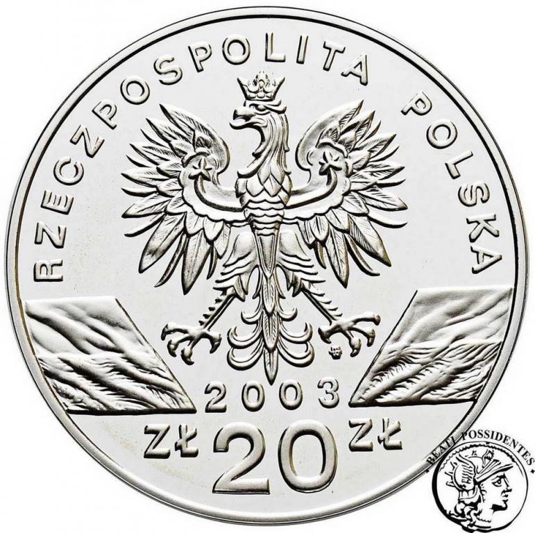 III RP 20 złotych 2003 Węgorz Europejski st.L