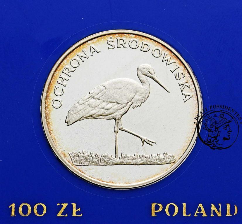 Polska PRL 100 złotych 1982 Bocian st.L-