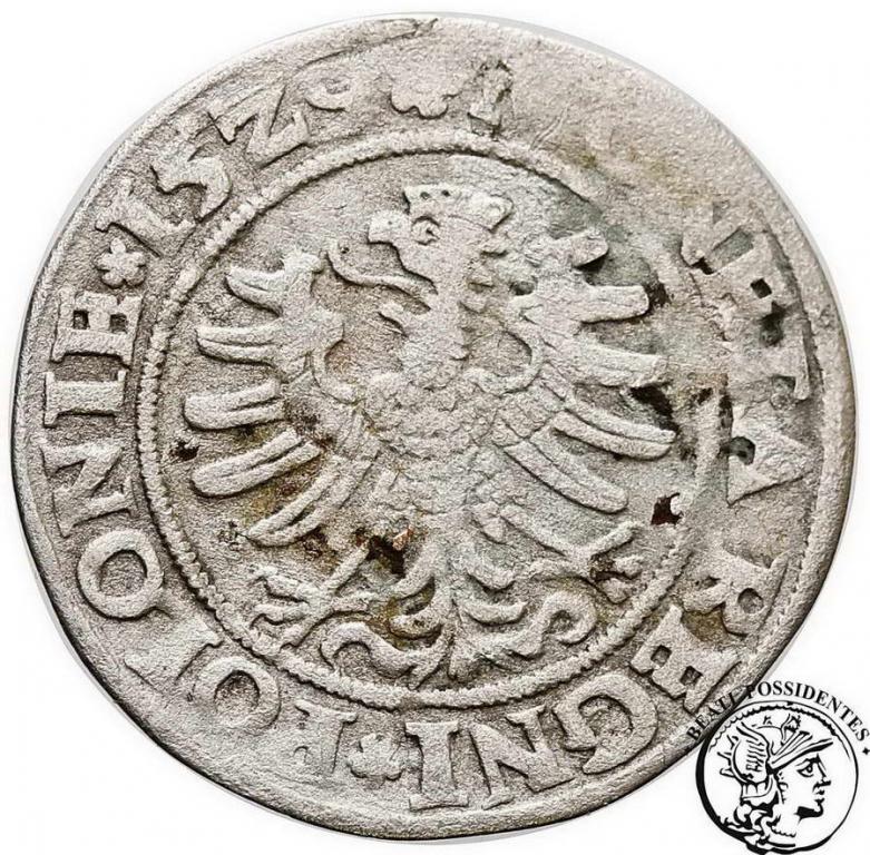Polska Zygmunt I Stary grosz 1529 Kraków st. 3