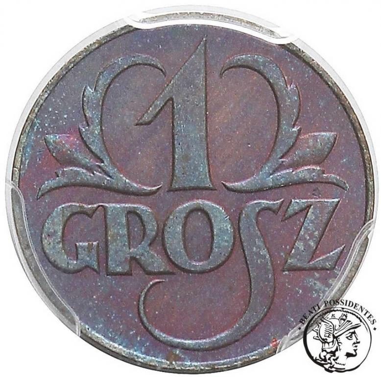 II RP PRÓBA 1 grosz 1923 lustrzanka PCGS SP66 BN
