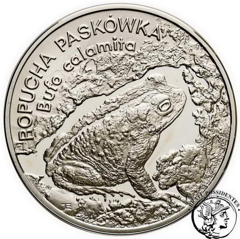 Polska III RP 20 złotych 1998 Ropucha Paskówka stL