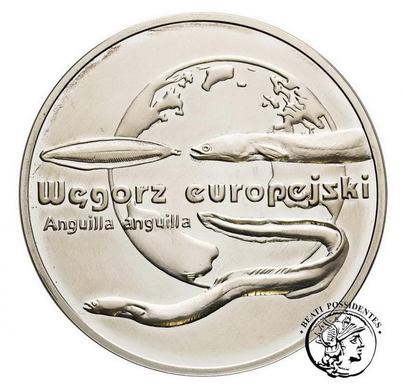 III RP 20 złotych 2003 Węgorz Europejski st.L-