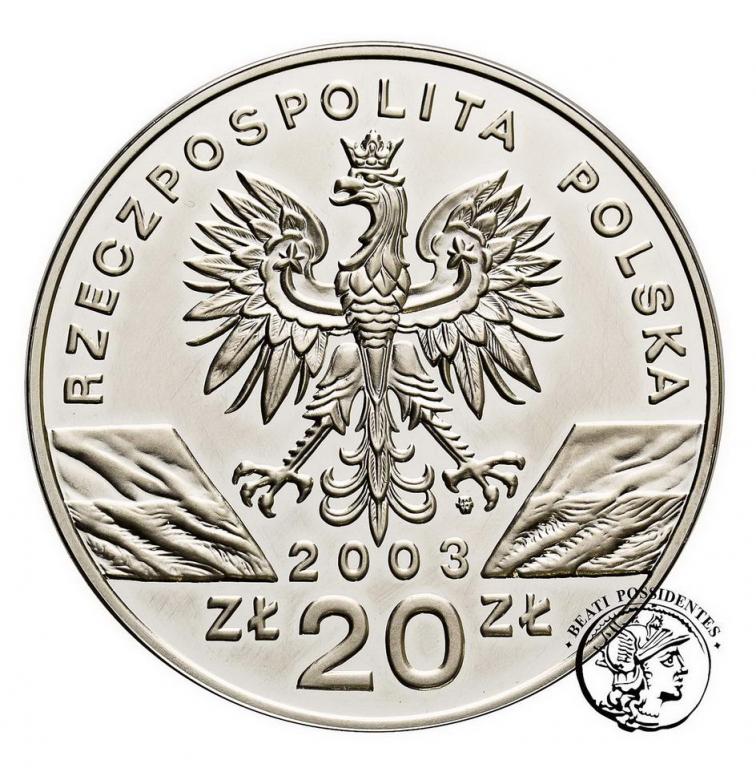 III RP 20 złotych 2003 Węgorz Europejski st.L-