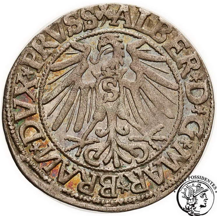 Prusy Książęce grosz pruski 1544 Królewiec st.3+