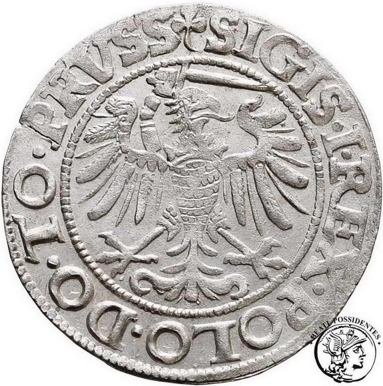 Polska Zygmunt I Stary grosz 1539 Elbląg st. 2+