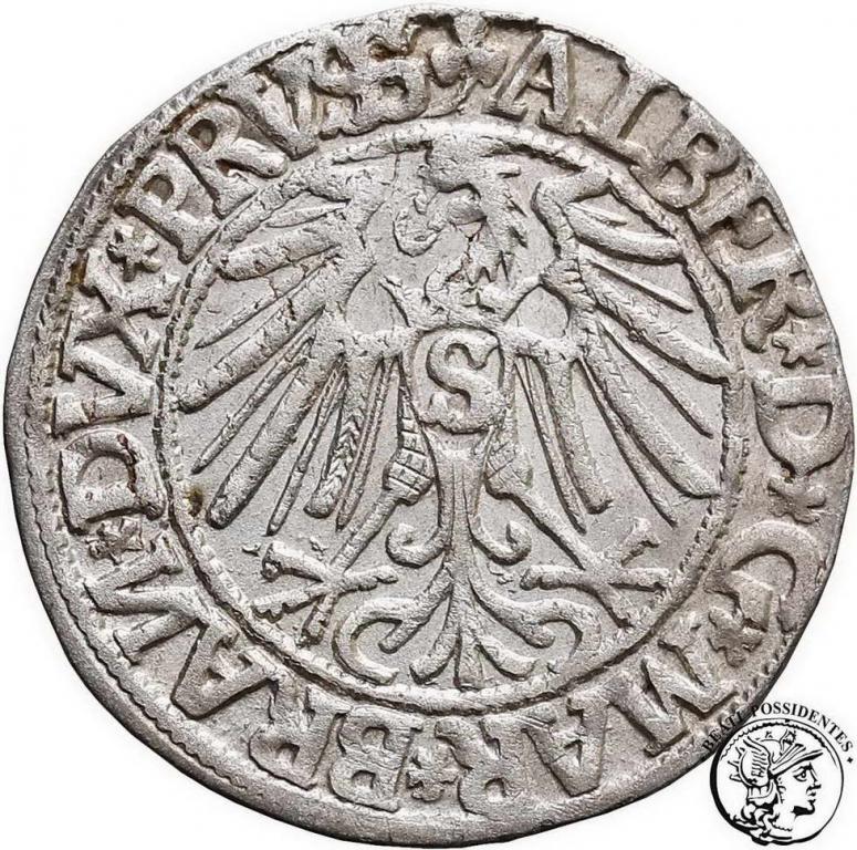 Polska Prusy Książęce grosz 1544 Króleweic st.2/2+
