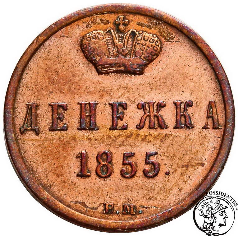 1/2 kopiejki (dienieżka) 1855 BM Aleksander II st2