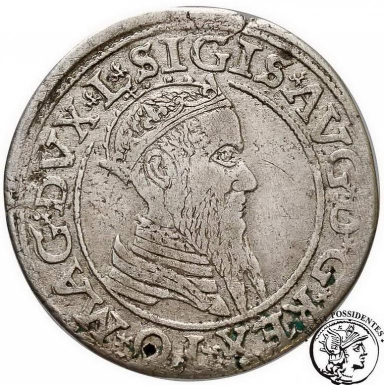 Zygmunt II August czworak 1566 Wilno st. 3-