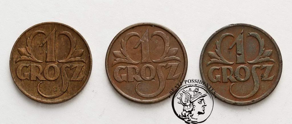 1 grosz 1927 + 1928 + 1923 lot 3 szt st. 3
