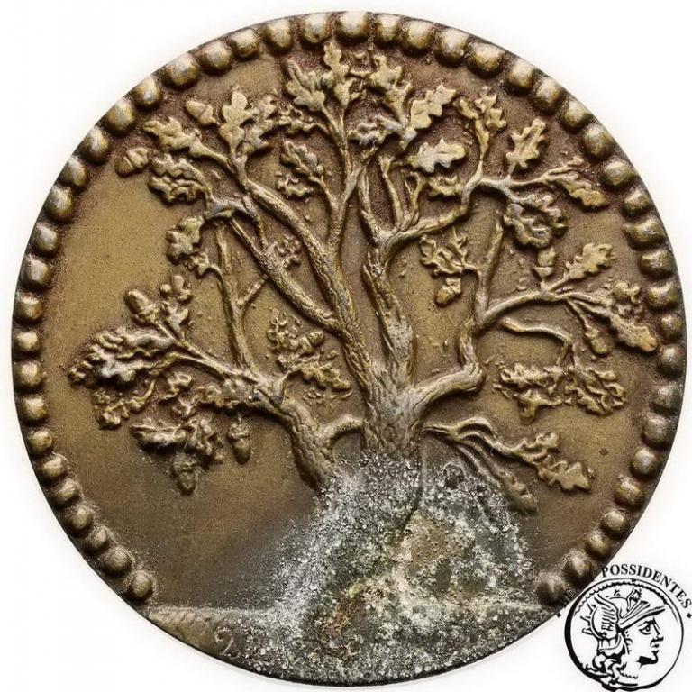 Polska medal Józef Piłsudski drzewo 1917 st. 3-