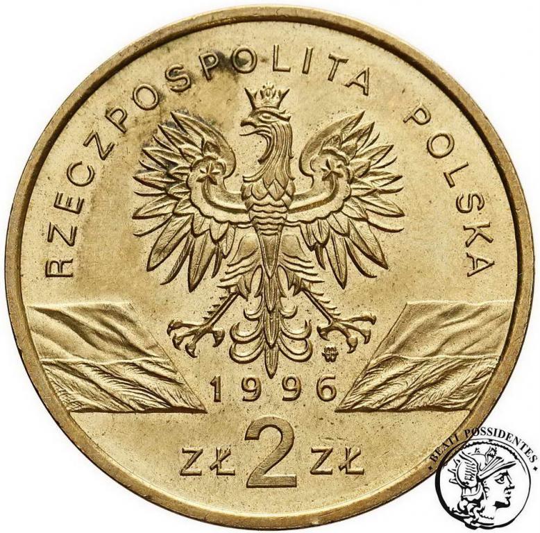 Polska Jeż  2 złote 1996 st. 1-