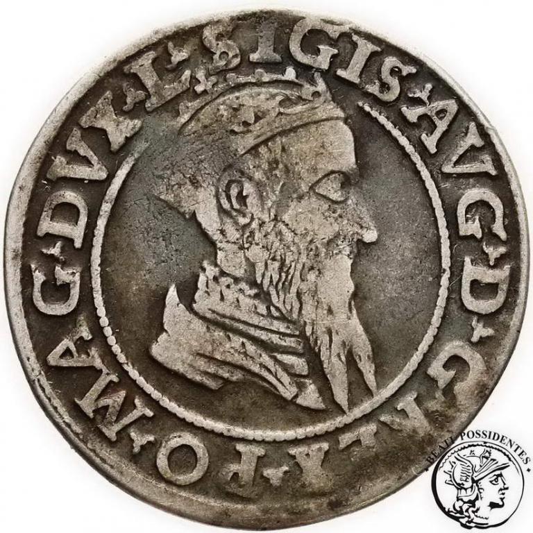 Polska Zygmunt II August czworak 1569 Wilno st. 3