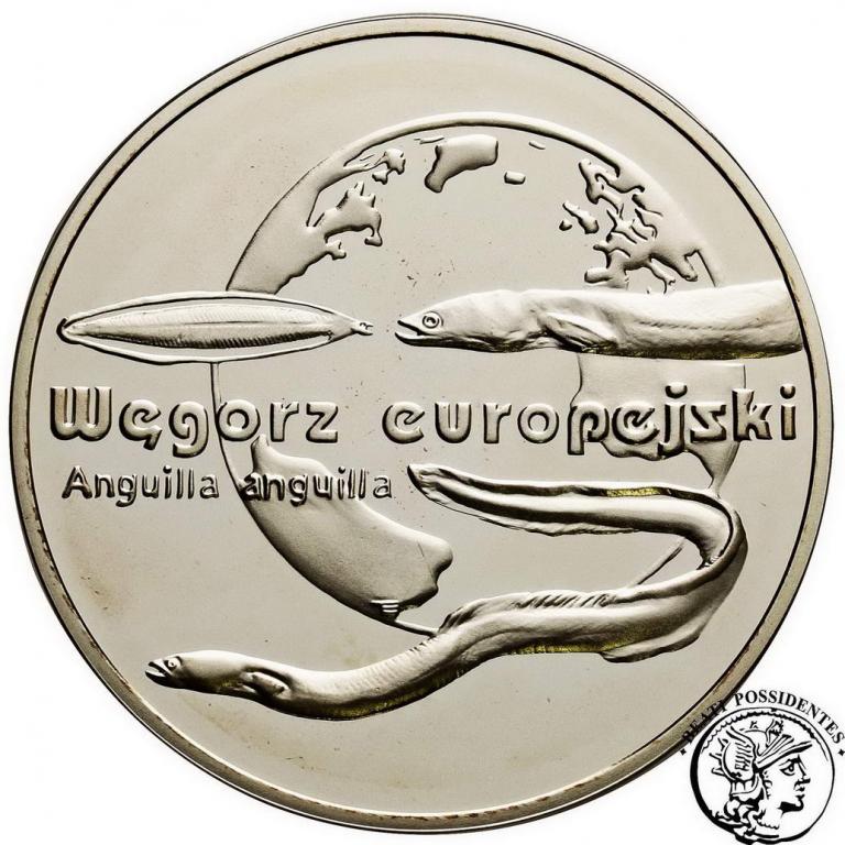 III RP 20 złotych 2003 Węgorz Europejski st.L