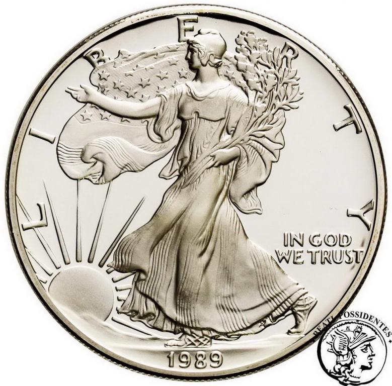 USA 1 $ dolar 1989 Liberty 1 uncja Ag .999 st. L