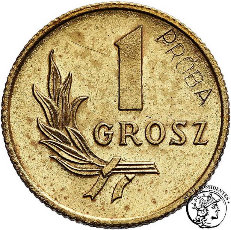 Polska PRÓBA mosiądz 1 grosz 1949 st.1-/2+